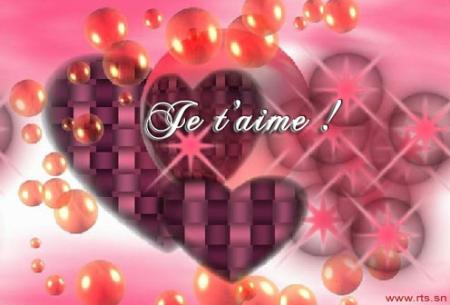 !!!amour!!!